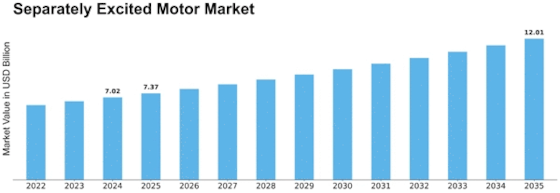 Separately Excited Motor Market Size