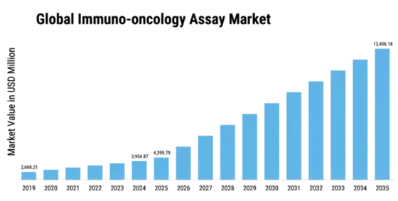 Immuno Oncology Assay Market Size