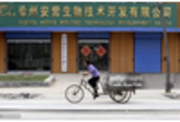 Monk Fruit Sweetener Market key player