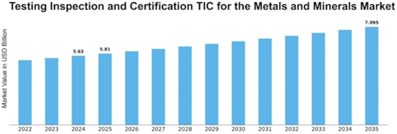 Testing Inspection Certification for the Metals Minerals Market Size