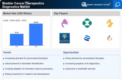 Bladder Cancer Therapeutics Diagnostics Market Infographic