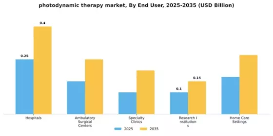Photodynamic Therapy Market Segment Image 1