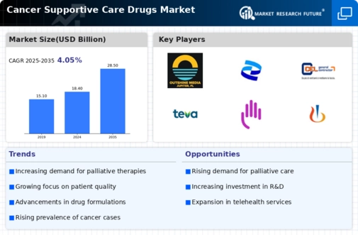 Cancer Supportive Care Drugs Market Infographic