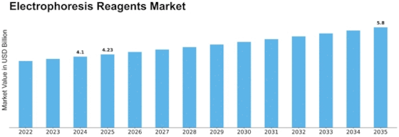 Electrophoresis Reagents Market Size