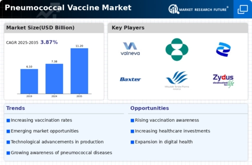 Pneumococcal Vaccine Market Infographic