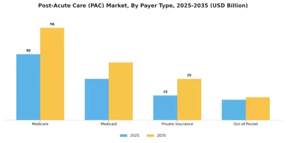 Post Acute Care Market Segment Image 2