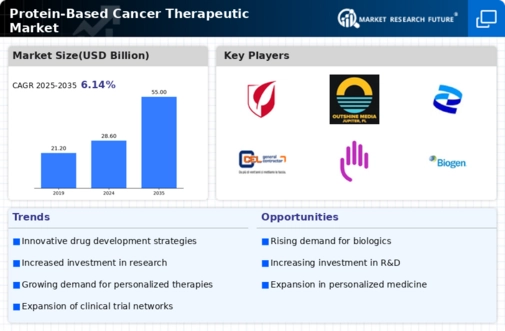 Protein Based Cancer Therapeutic Market Infographic