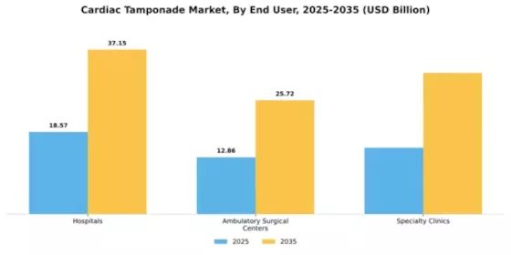 Cardiac Tamponade Market Segment Image 1