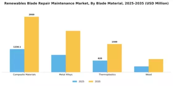 Renewables Blade Repair & Maintenance Market Segment Image 1