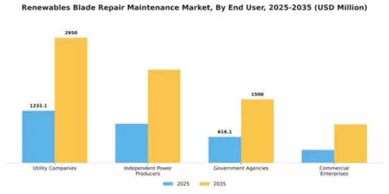Renewables Blade Repair & Maintenance Market Segment Image 2