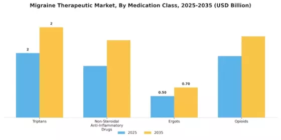 Migraine Therapeutic Market Segment Image 0