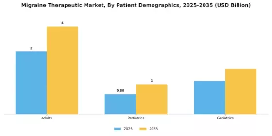 Migraine Therapeutic Market Segment Image 1