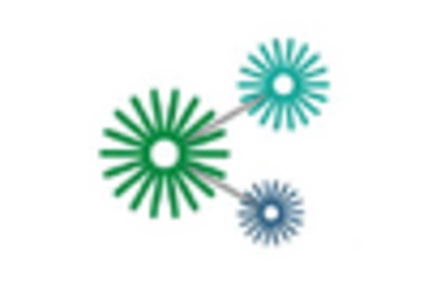 Corneal Implants Market key player