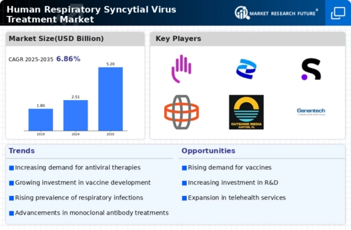 Human Respiratory Syncytial Virus Treatment Market Infographic