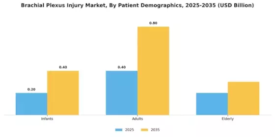 Brachial Plexus Injury Market Segment Image 1