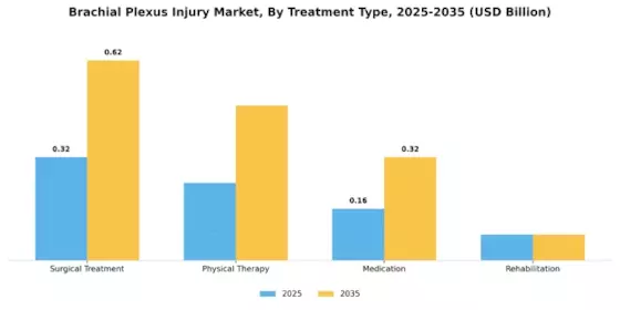 Brachial Plexus Injury Market Segment Image 2
