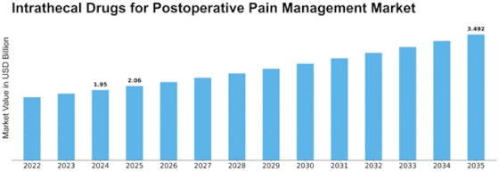 Intrathecal Drugs For Post Operative Pain Management Market Size