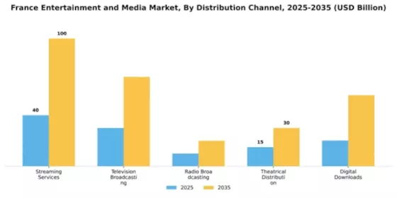 France Entertainment Media Market
 Segment Image 2