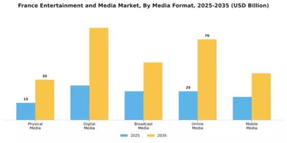 France Entertainment Media Market
 Segment Image 3