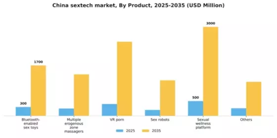 China Sextech Market Segment Image 2