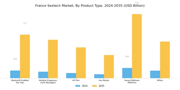 France Sextech Market Segment Image 0