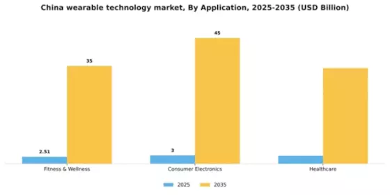 China Wearable Technology Market Segment Image 0