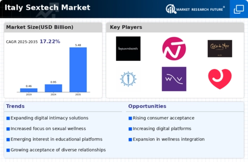Italy Sextech Market Infographic