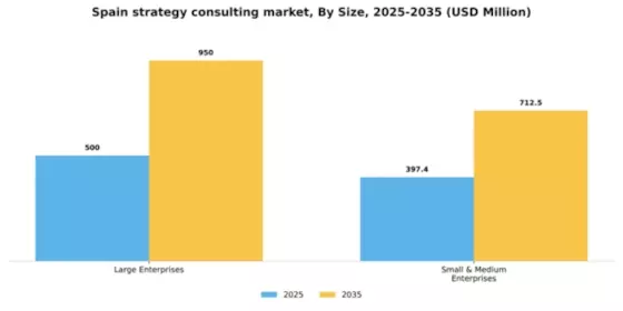 Spain Strategy Consulting Market Segment Image 1