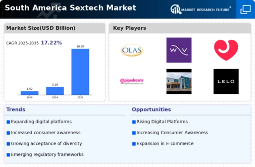South America Sextech Market Infographic