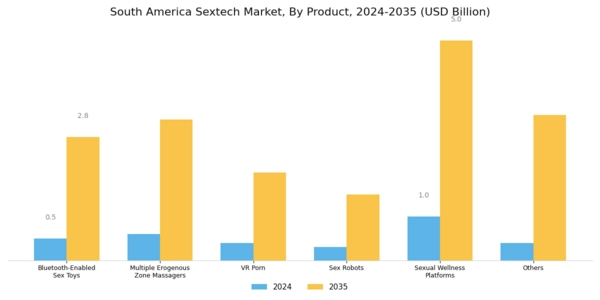 South America Sextech Market Segment Image 0