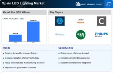 Spain Led Lighting Market Infographic