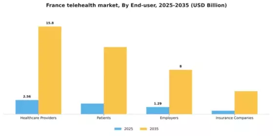 France Telehealth Market Segment Image 1