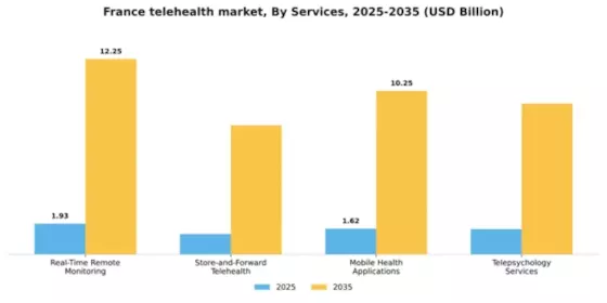 France Telehealth Market Segment Image 2