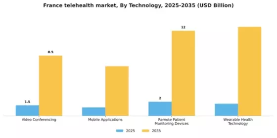 France Telehealth Market Segment Image 3
