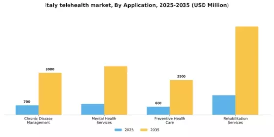 Italy Telehealth Market Segment Image 0