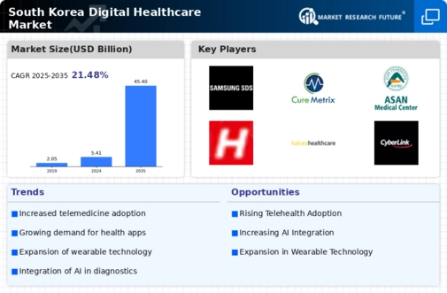 South Korea Digital Healthcare Market Infographic
