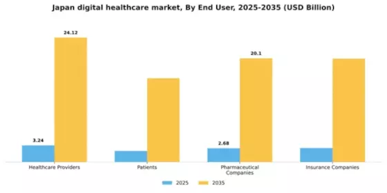 Japan Digital Healthcare Market Segment Image 1