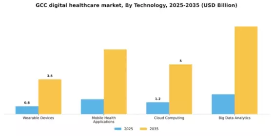 GCC Digital Healthcare Market Segment Image 3