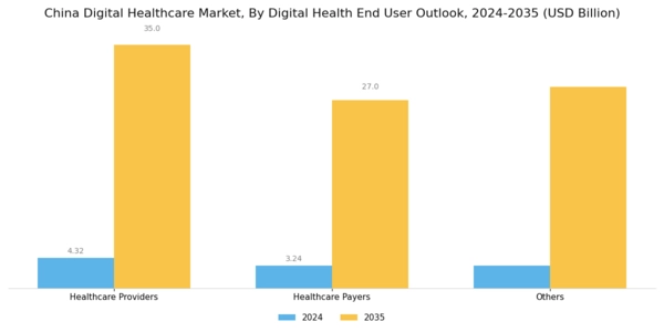 China Digital Healthcare Market Segment Image 3