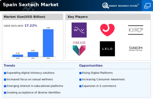 Spain Sextech Market Infographic