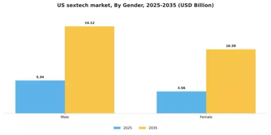 US Sextech Market Segment Image 1