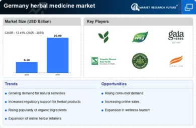 Germany Herbal Medicine Market Infographic