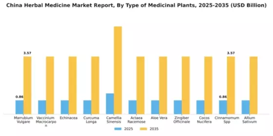 China Herbal Medicine Market Segment Image 4