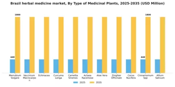 Brazil Herbal Medicine Market  Segment Image 4