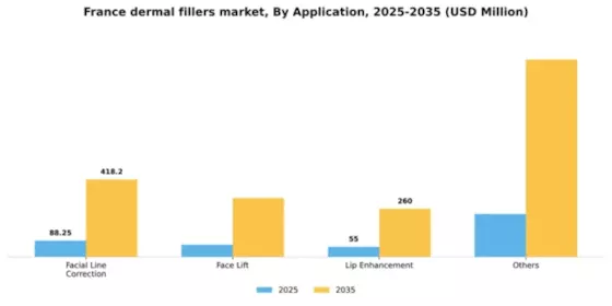 France Dermal Fillers Market Segment Image 0