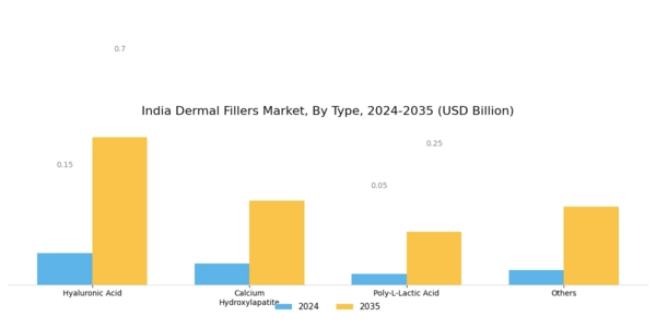 India Dermal Fillers Market Segment Image 0