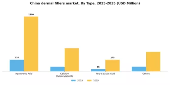 China Dermal Fillers Market Segment Image 2