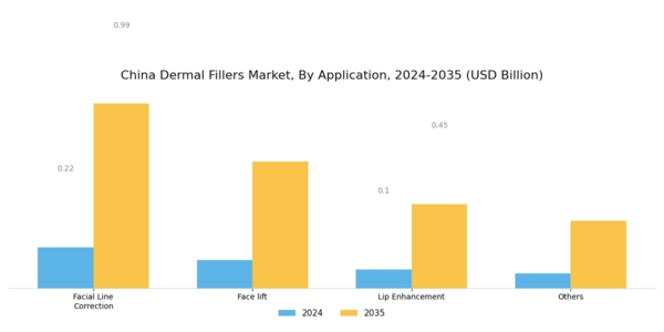 China Dermal Fillers Market Segment Image 1