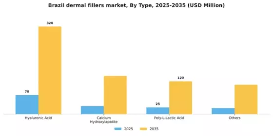 Brazil Dermal Fillers Market Segment Image 2