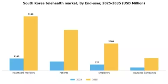 South Korea Telehealth Market Segment Image 1